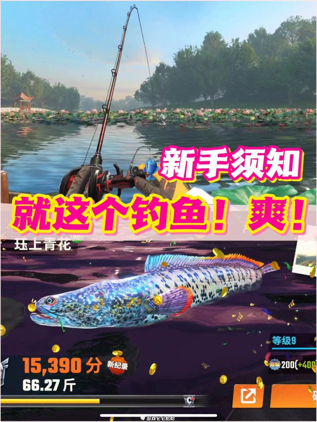 钓鱼新手攻略‼️快速上手钓大鱼🎣截图