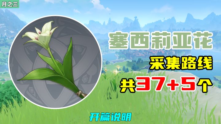 【原神】塞西莉亚花采集路线(37+5个),开篇说明截图