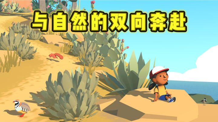 一人一岛的夏日治愈之旅截图