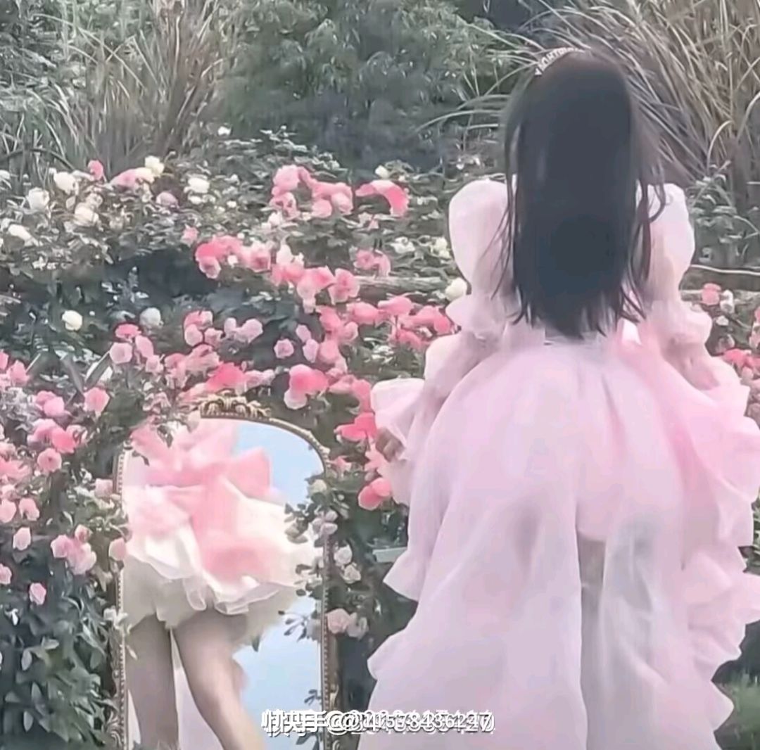 动态图片 3