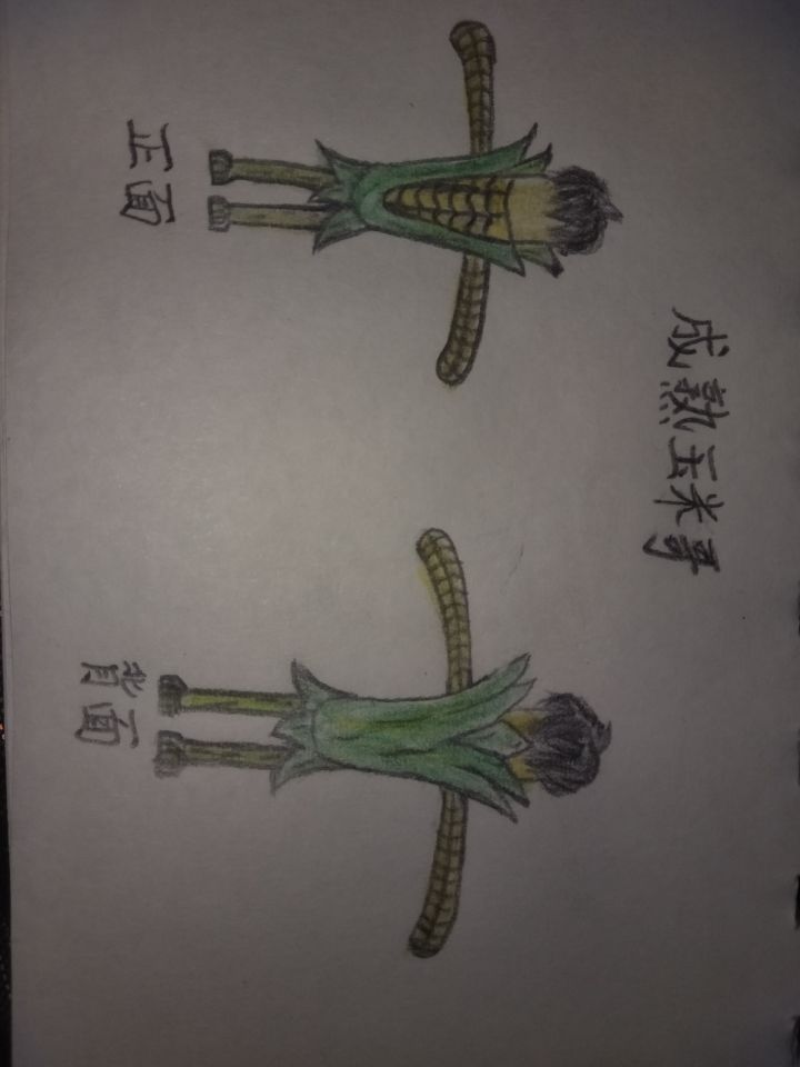 [第二届设计大赛]截图