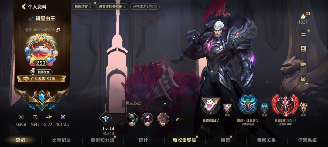 龙王辅助有搞头哇 3