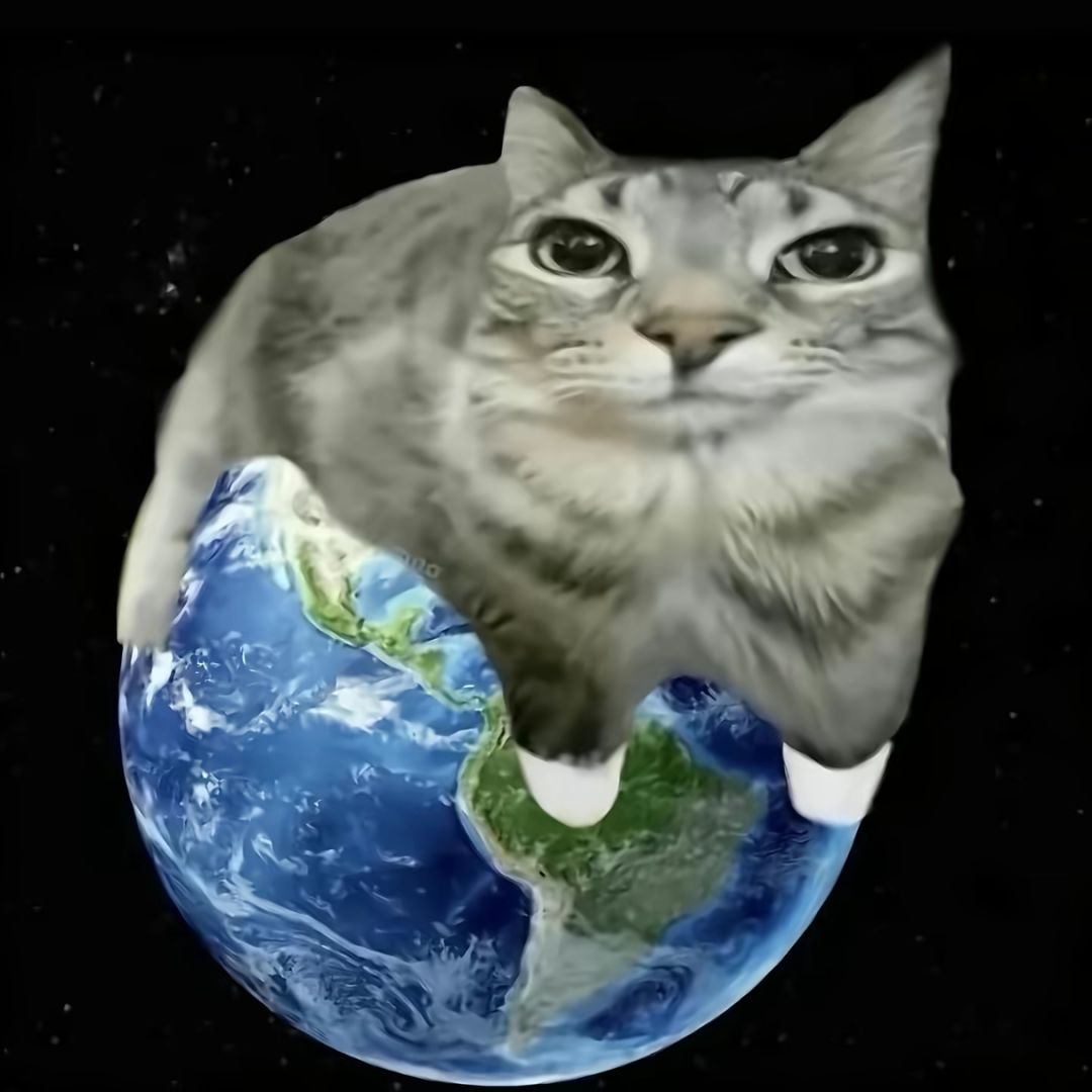 金袋 1