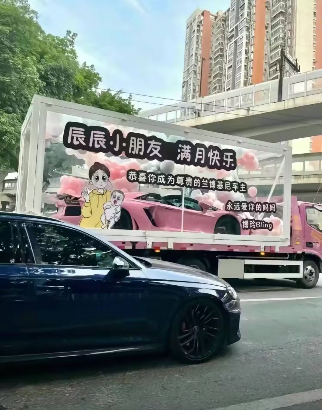 胖熊宝贝儿,我也想要车。 1