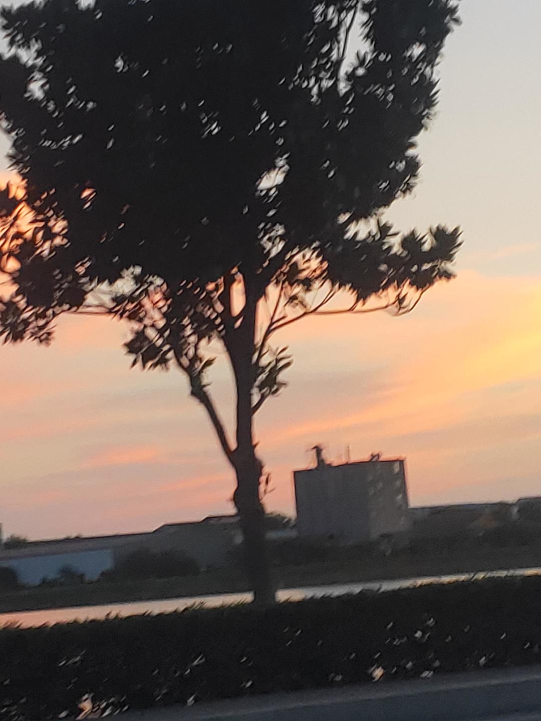 动态图片 18