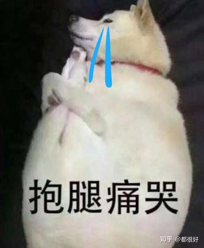 逆天存档 2