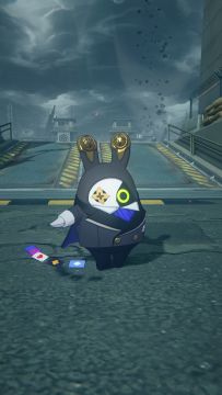 布后花絮丨罗宾