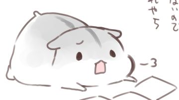 符箓配置推荐（欢迎讨论）