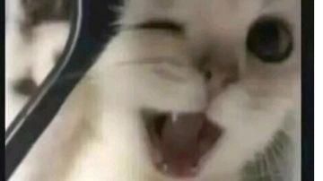 赛季通行证&排位 限定皮肤 整合