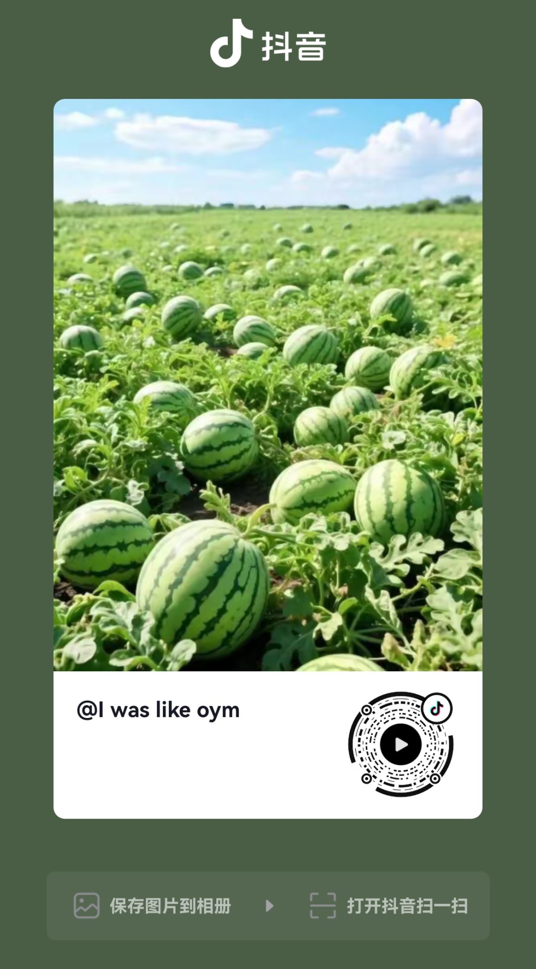动态图片 13