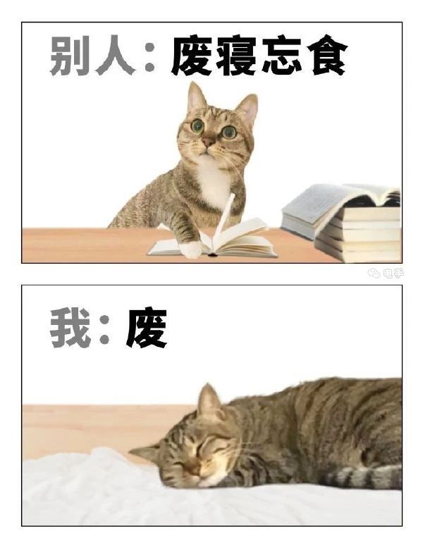 原神交流Q裙纳新 2