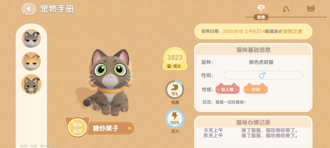 粘人精猫猫上大分 4