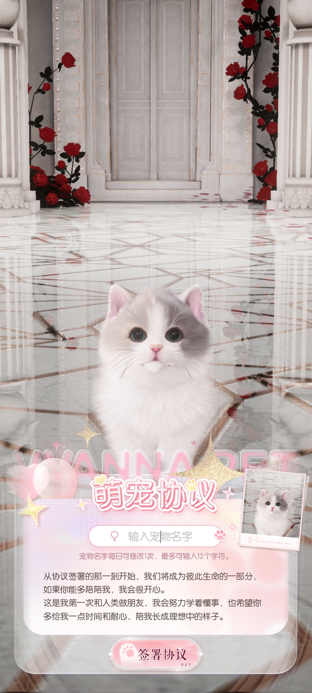 不是,还会有没标签的猫猫啊??! 2