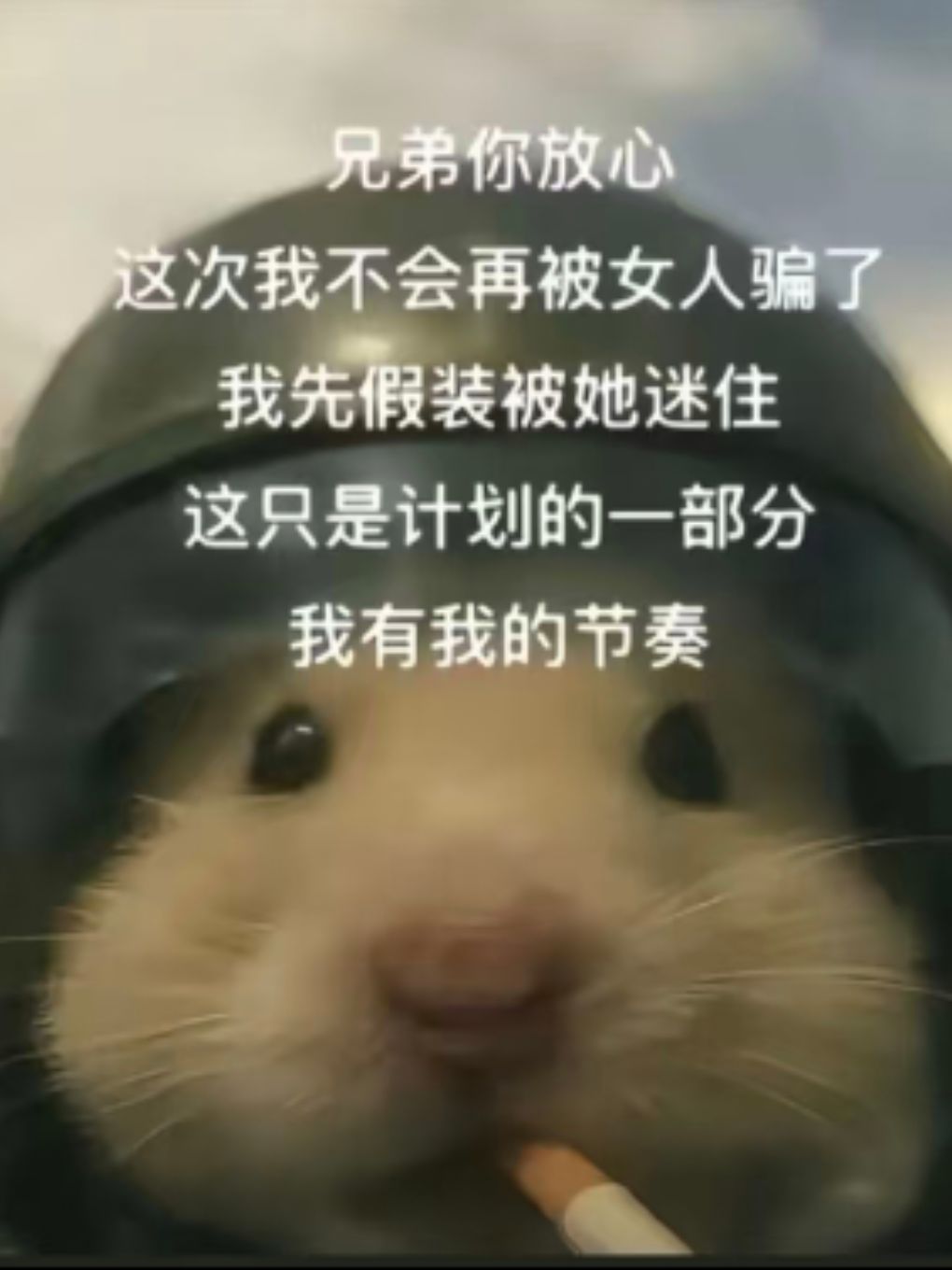 一服深渊家族听雪迎春归招人 1