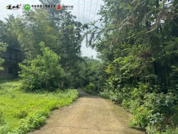 微光成炬，逆水不寒。逆水寒 X 中华思源工程基金会扬帆计划正在进行中！
目前，路灯修建项目施工队已经抵达三清山旁的玉山县勘探真实路况。各位同门在游戏里点亮、欣赏过的每一盏灯，都将化作一份真实的力量，为三清山当地村中的孩子与乡民们照亮夜色！
江湖路远，唯爱与真诚不可辜负！