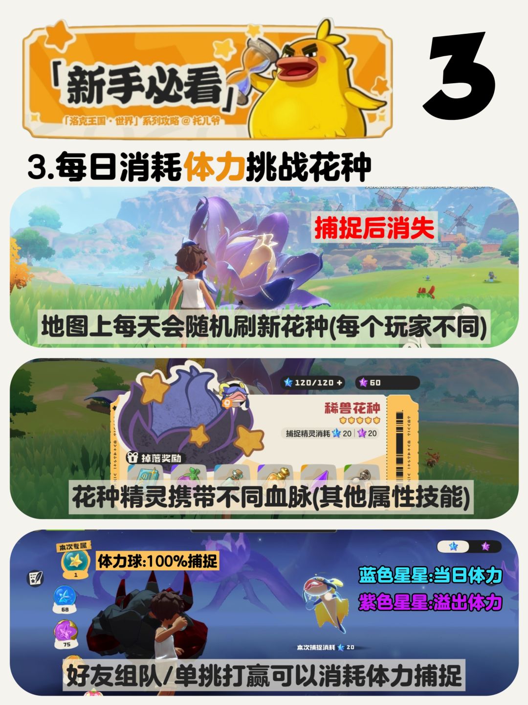 【攻略】新手洛克不知道的的12个细节! 3