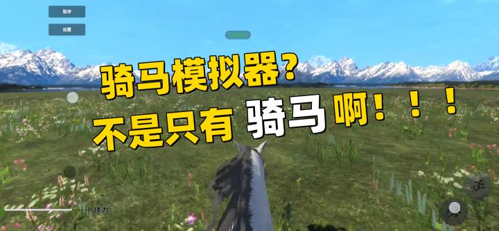 会取名字加三分！纯粹的骑马模拟器，不如叫《QQ飞马》好了！截图