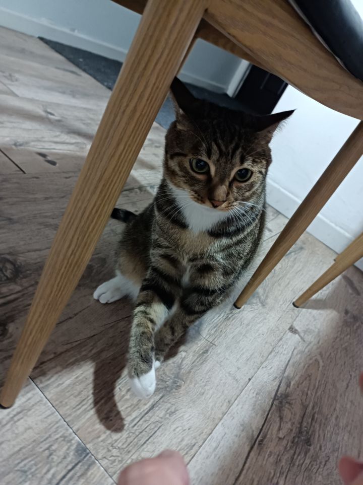 #纺坠终久之梦 #原神 #原神攻略 都是猫猫截图