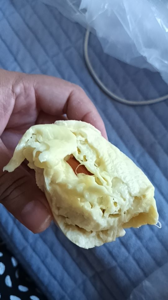 真是报恩榴莲 2