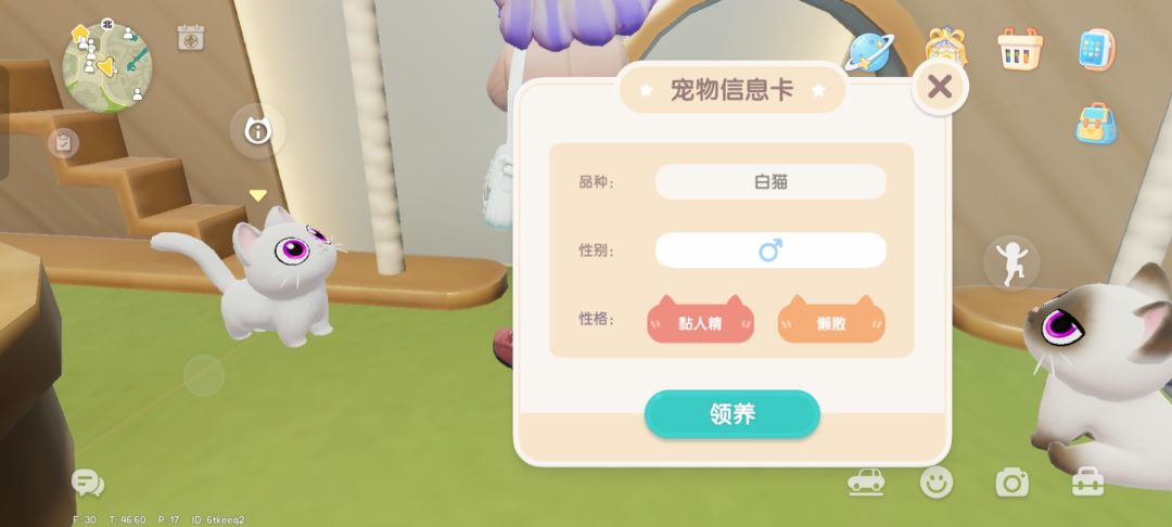 这只白猫到底养不养,在线等挺急的 1