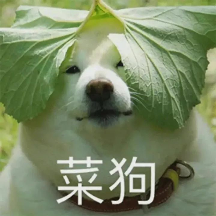 友拉我玩的游戏结果他弃了我在玩截图