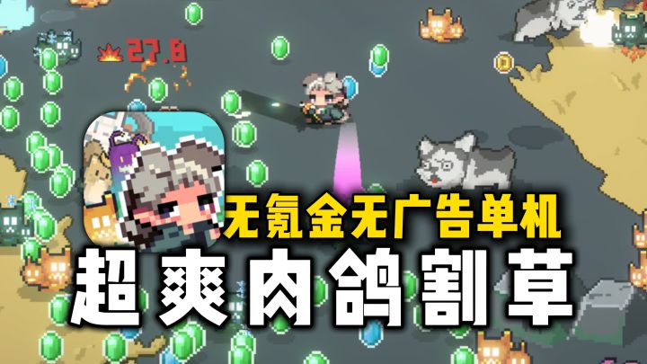 无氪金无广告无需联网,超爽肉鸽割草,特效拉满节奏快~截图