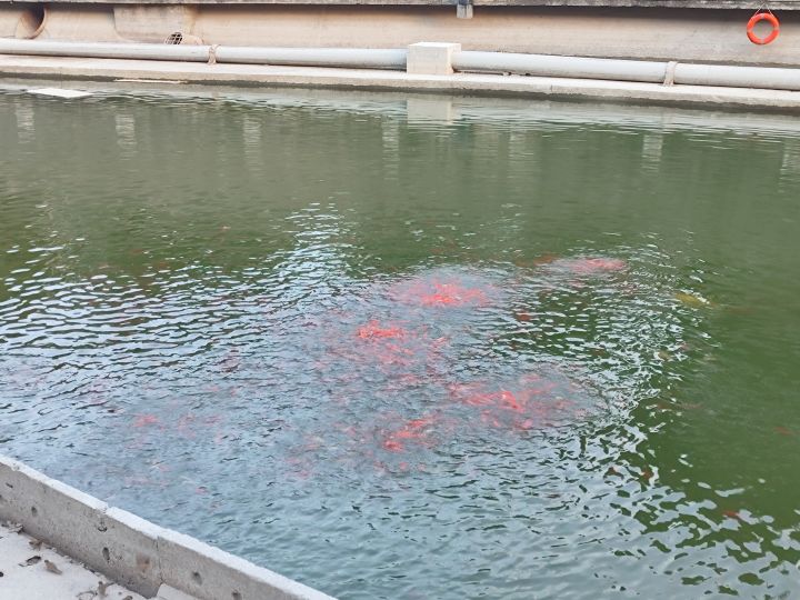 坐等黑神话悟空截图