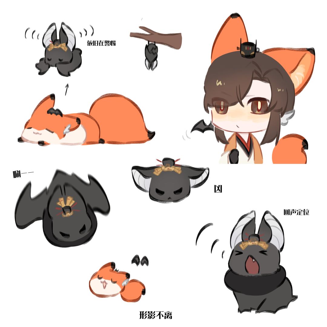 一些广蝉狐蝠! 1