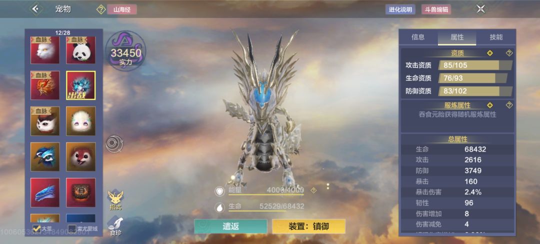 宠物先养哪个好一点 4