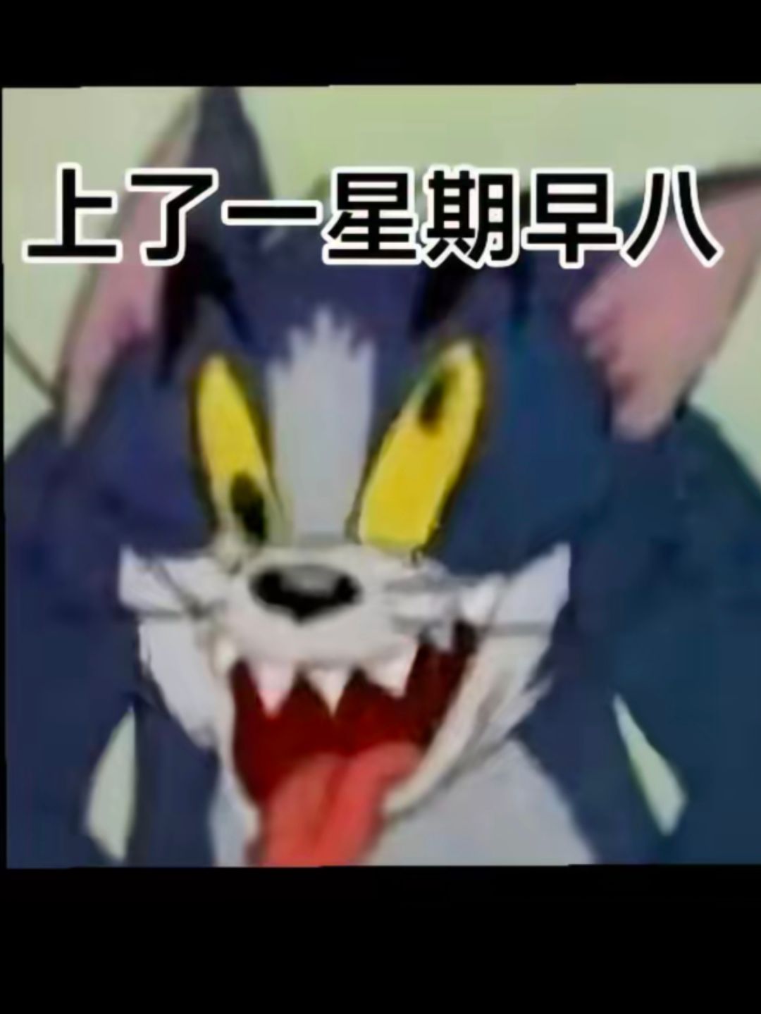 究竟是新王加冕,还是开局暴死 2