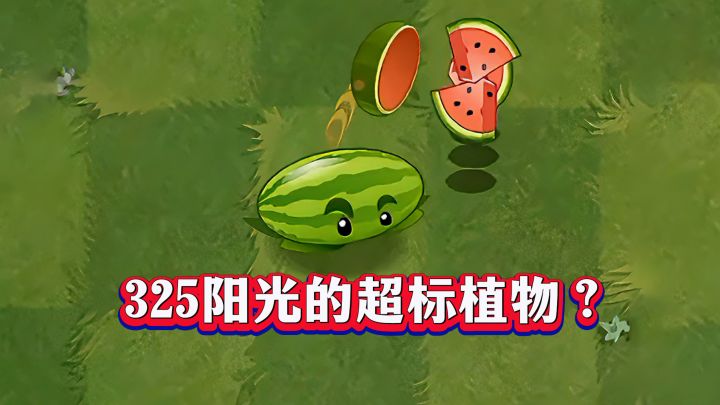 敢卖325阳光的西瓜投手,到底强在哪?截图