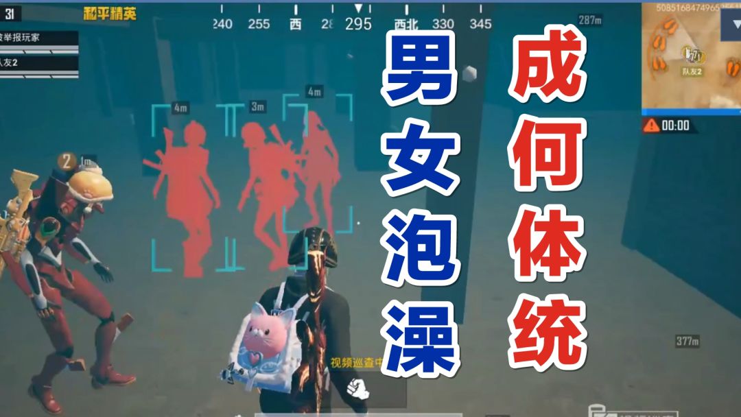 video-3488891