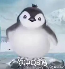 这游戏的稳定性真的太逆天了截图
