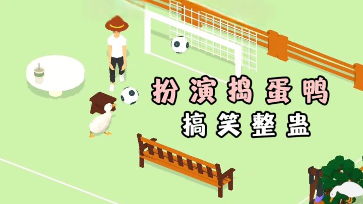 今天扮演一只捣蛋鹅,完成恶作剧❗️截图