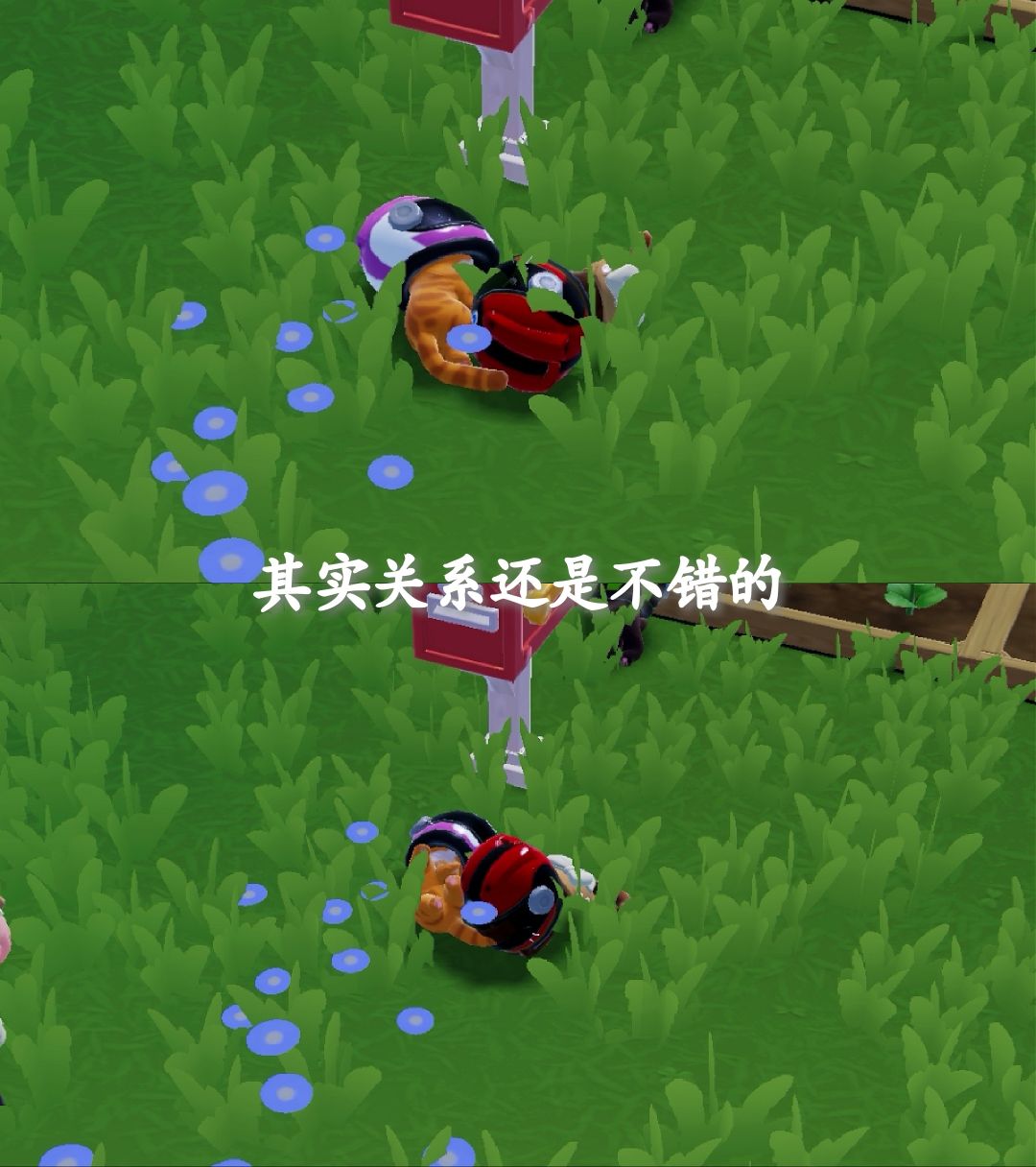 和喵喵们的日常 3
