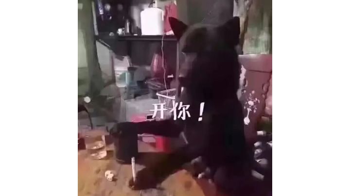 普农马厩出机密截图