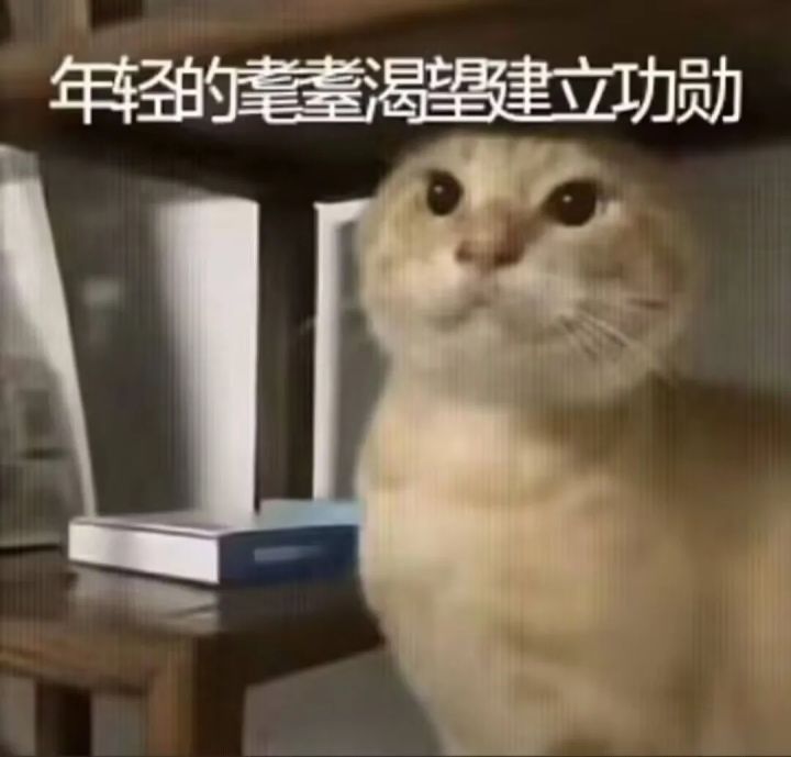 双十一会有所罗门吗？截图