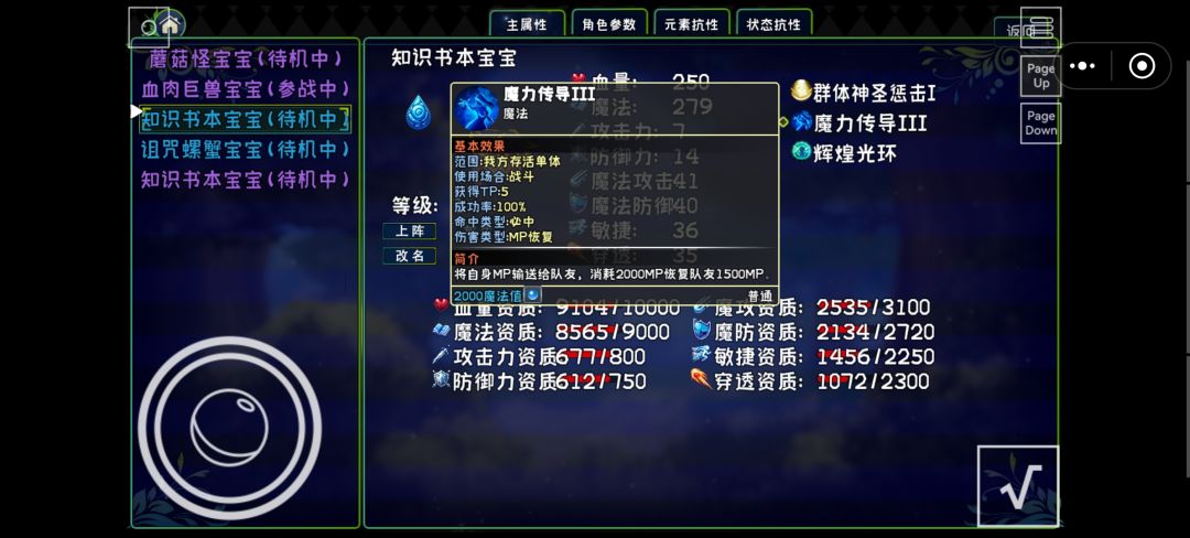 宠物哪只合适 2