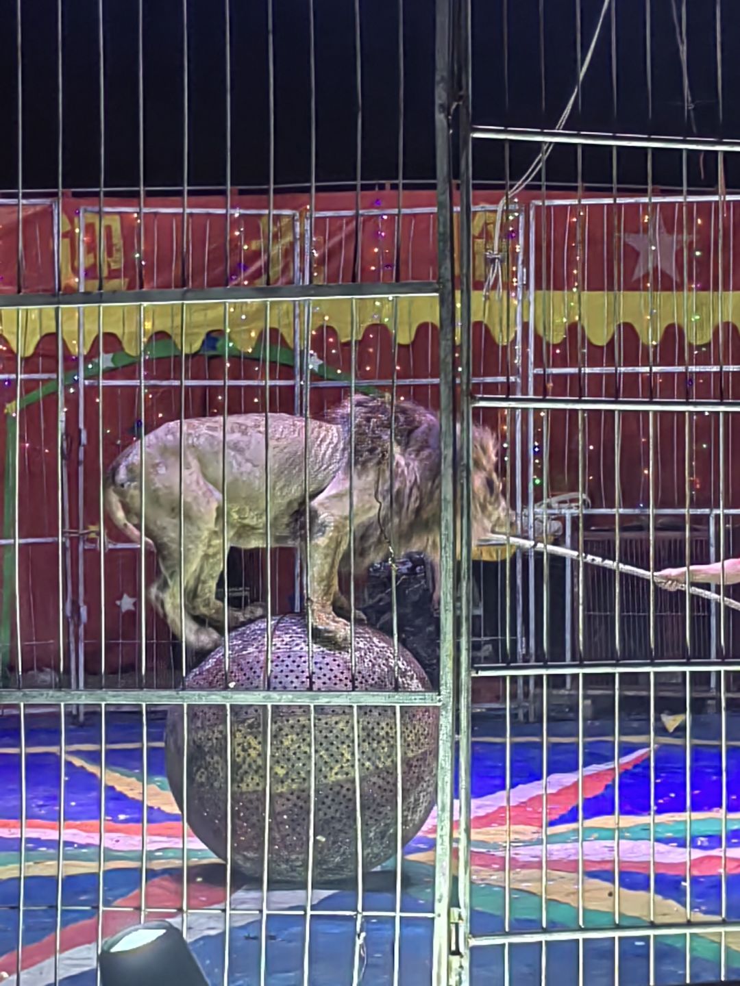 动态图片 5