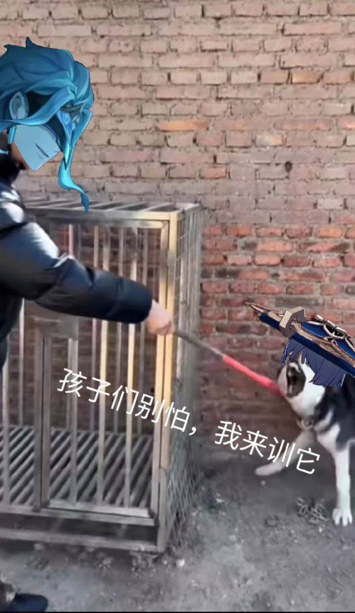 高尚纯洁灵魂认证会干过什么截图