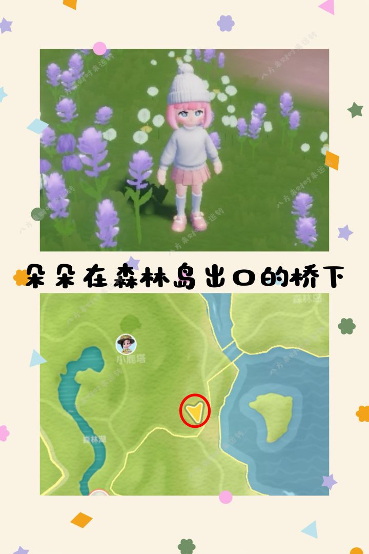 9.8号心动小镇彩虹天攻略来啦截图