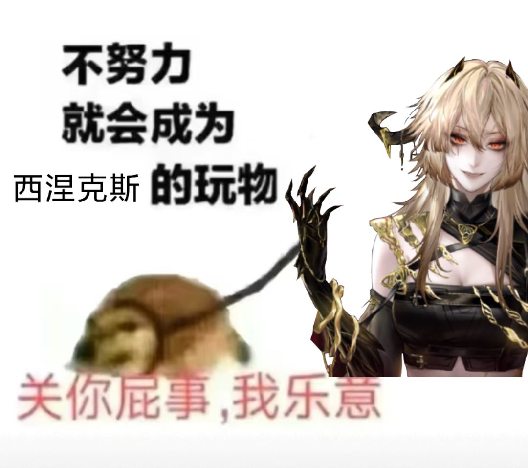 我将以梭哈形态出击🤜 2