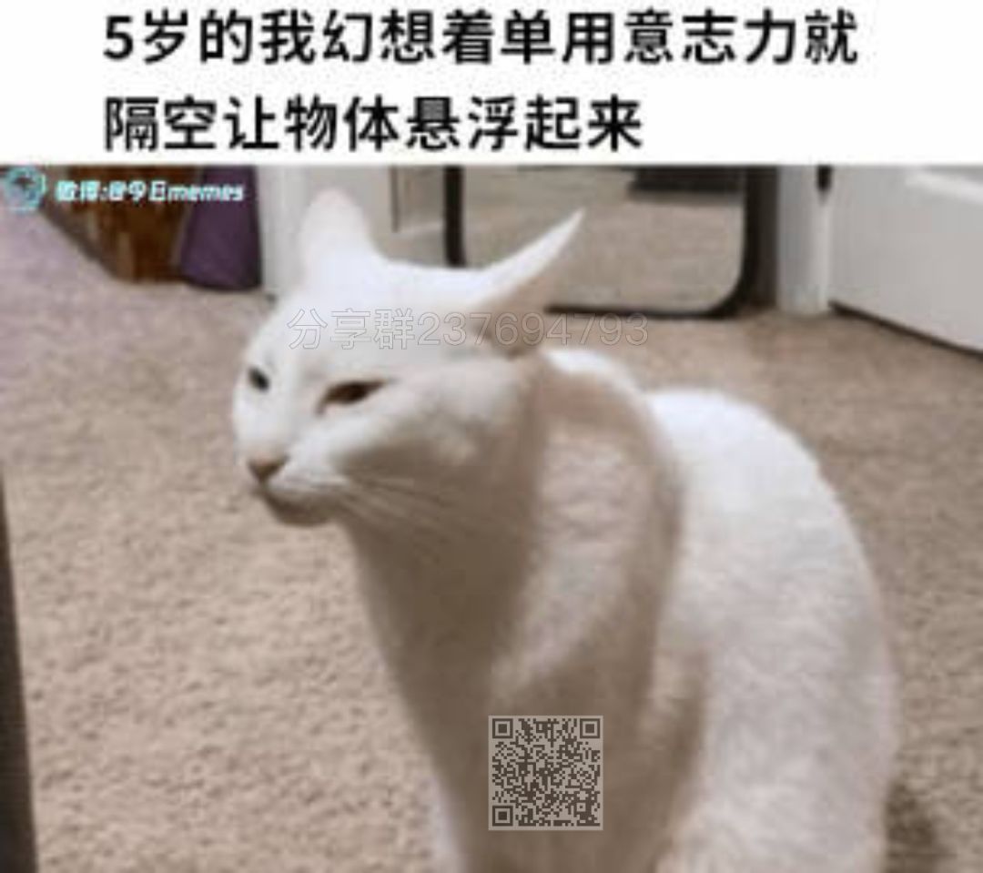 黑骑士不给卡吗? 1
