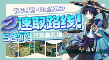【V3.3攻略】#角色攻略#散兵材料｜树王圣体菇 52个速取路线！只采扎堆的！
