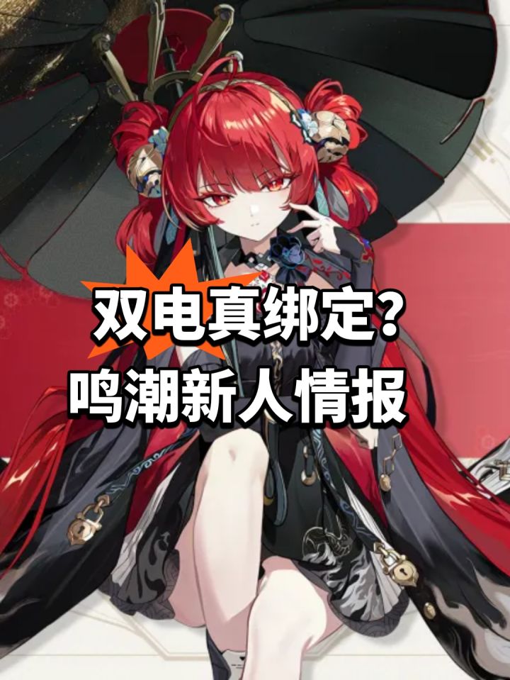 双电真绑定？鸣潮新人情报截图