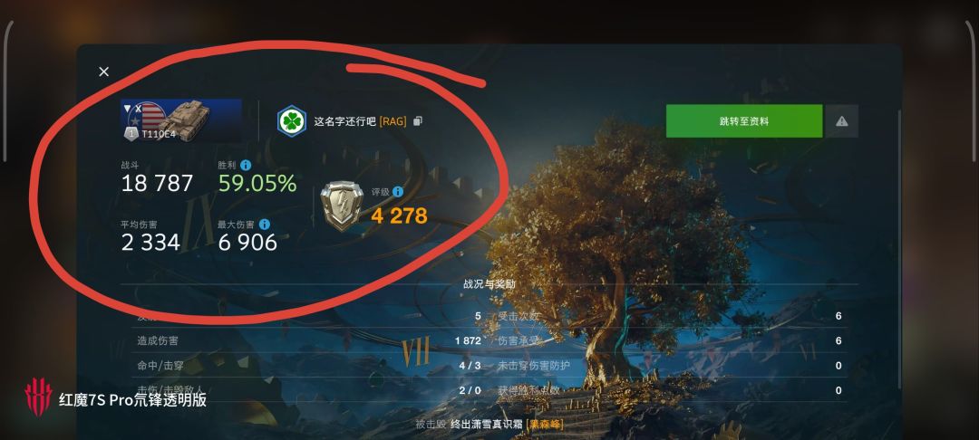动态图片 12