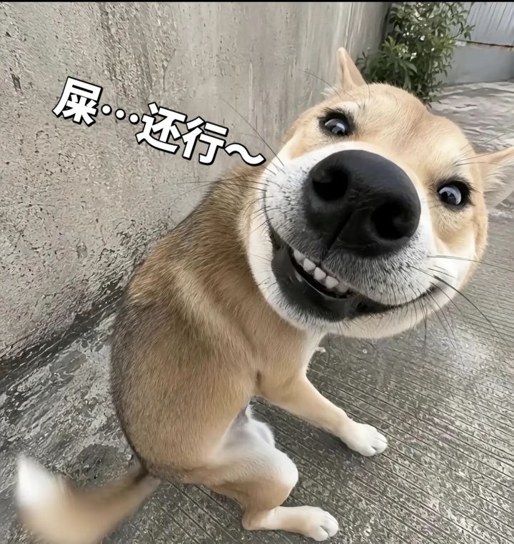 老年人破绷了截图