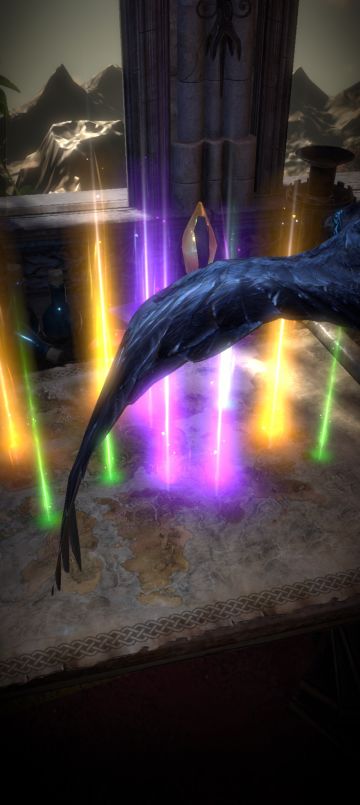 十连三金的新手保护😉