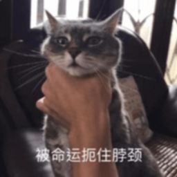 【整合帖】百科工具+近期文章截图