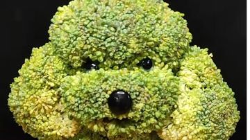 2022版新手开局最新攻略，助你少走弯路。